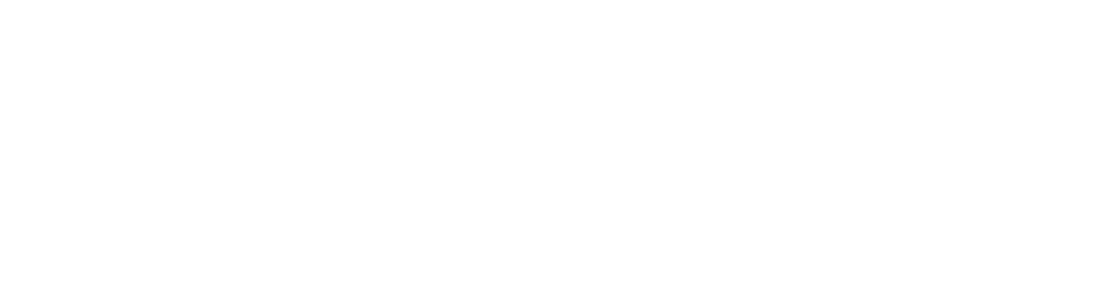 Systemise and Scale
